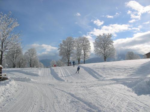 Alpenbad Aparthotel รัมเซา อัม ดาคชไตน์ ภายนอก รูปภาพ